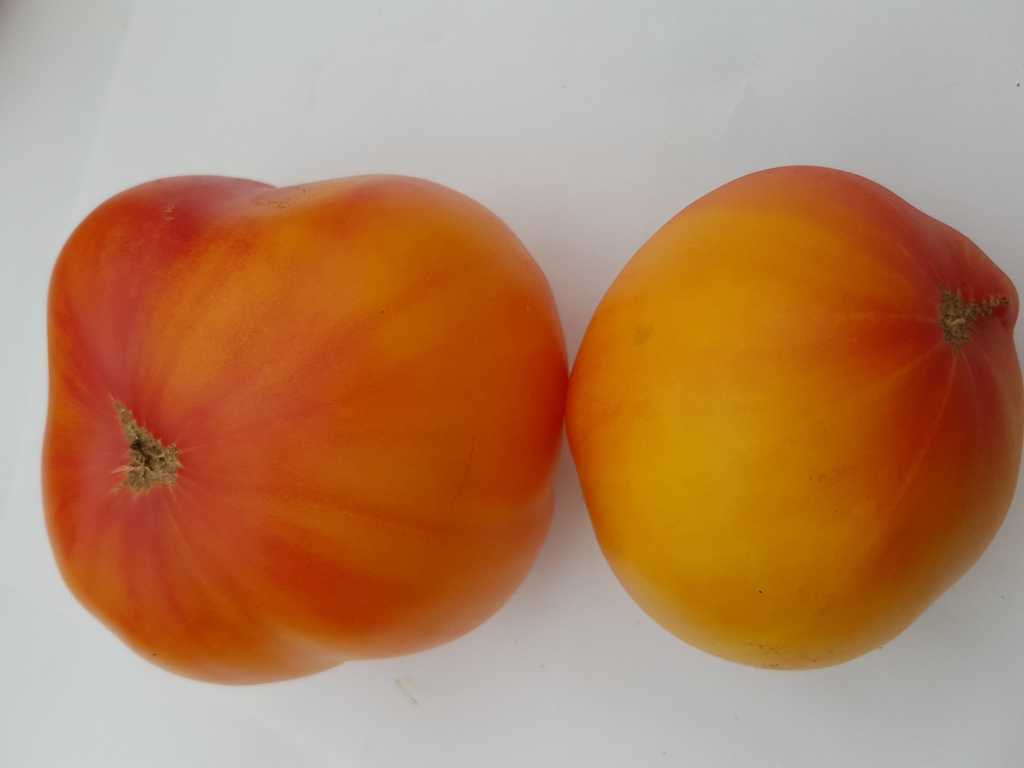 Grandma Viney's Yellow and Pink